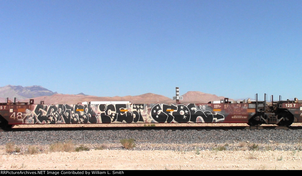 WB Unit Container Frt at Erie NV -61